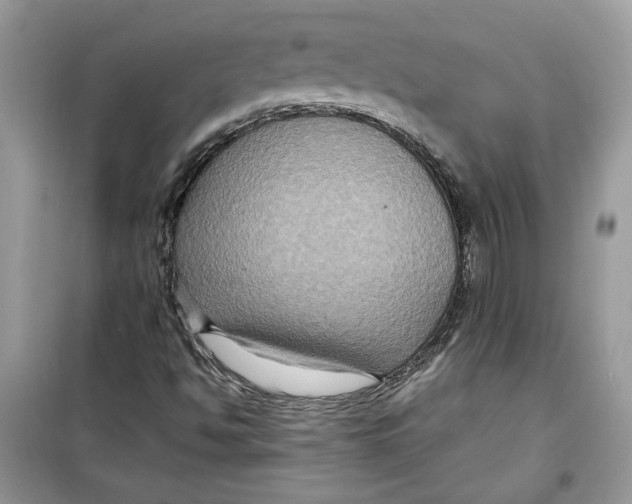 X0000099291494200805231309