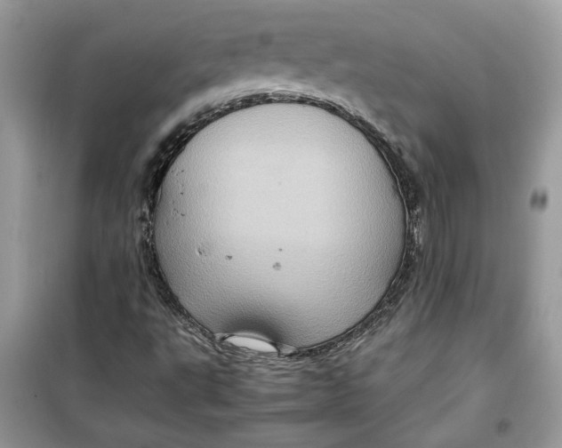 X0000099291495200805231309