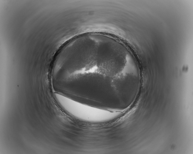 X0000099291497200805231309