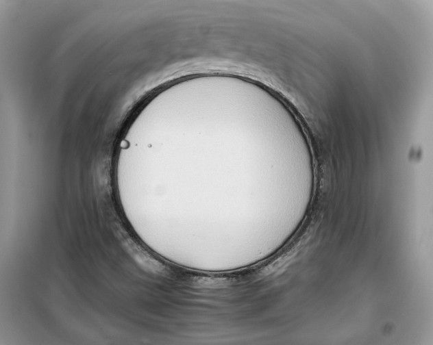 X0000099291499200805231309