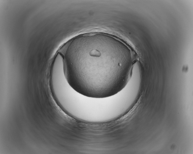 X0000099291500200805231309