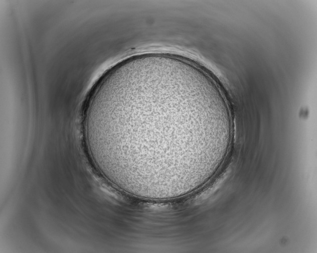 X0000099291501200805231309