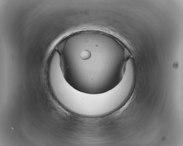 X0000099291502200805231309