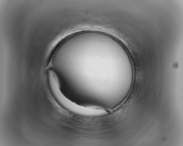 X0000099291503200805231309