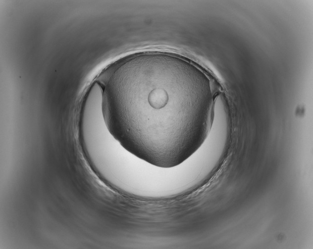 X0000099291504200805231309