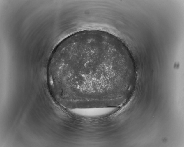 X0000099291505200805231309