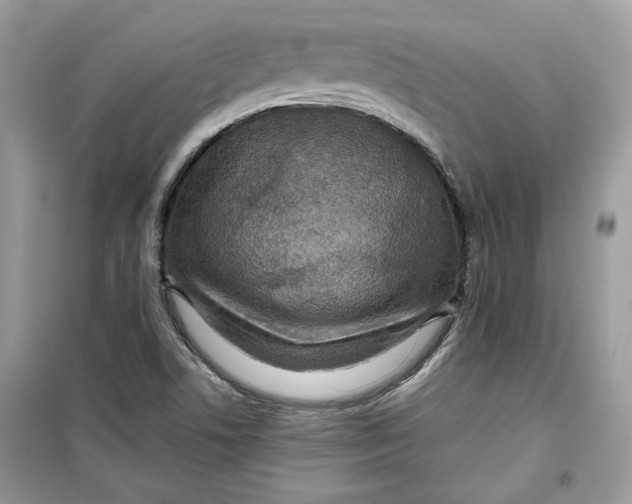 X0000099291506200805231309