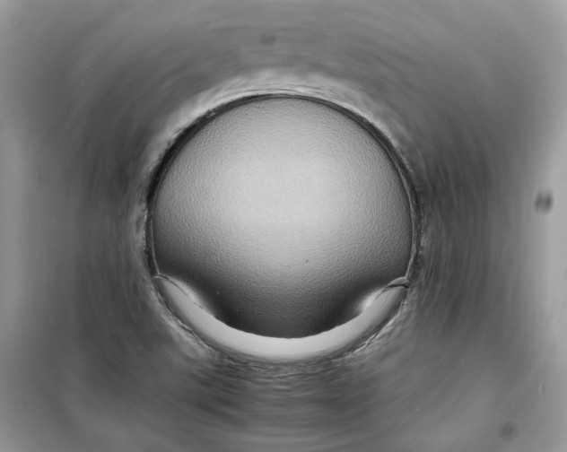 X0000099291507200805231309