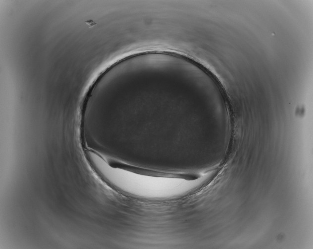 X0000099291508200805231309