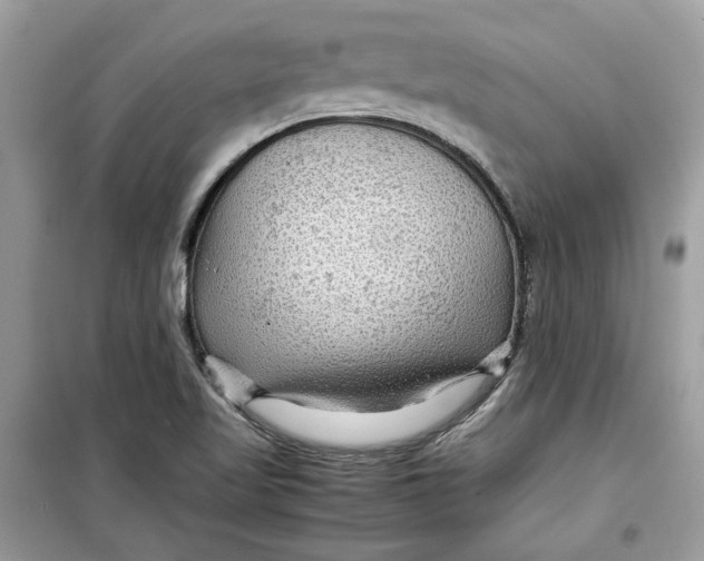 X0000099291509200805231309