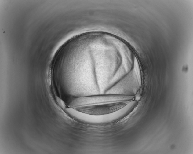 X0000099291510200805231309