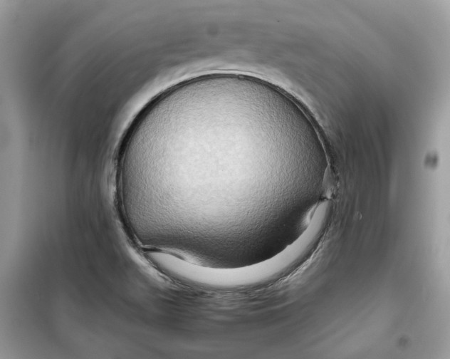 X0000099291511200805231309