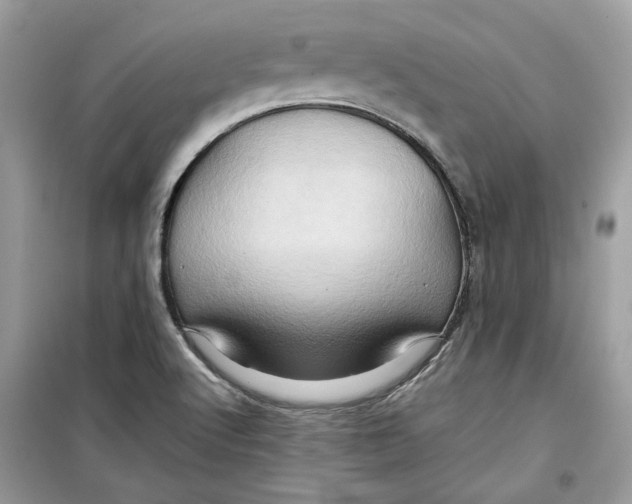 X0000099291512200805231309