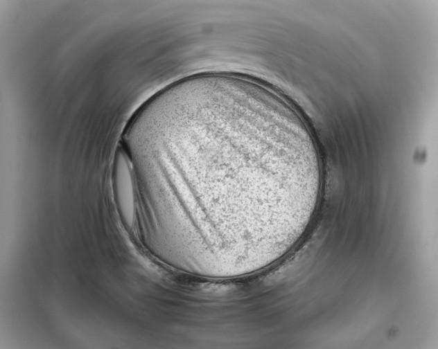 X0000099291513200805231309