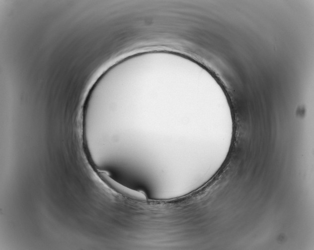 X0000099291516200805231309