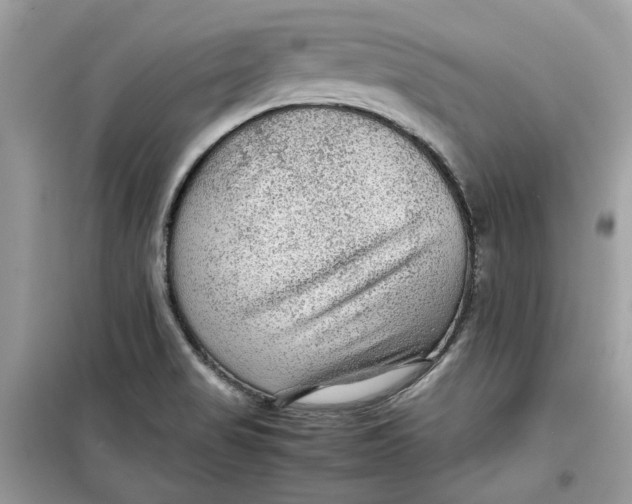 X0000099291517200805231309