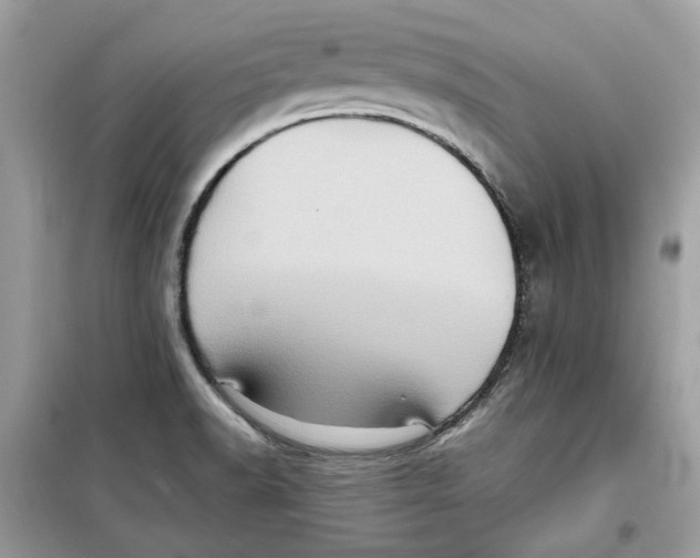 X0000099291518200805231309