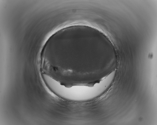 X0000099291519200805231309