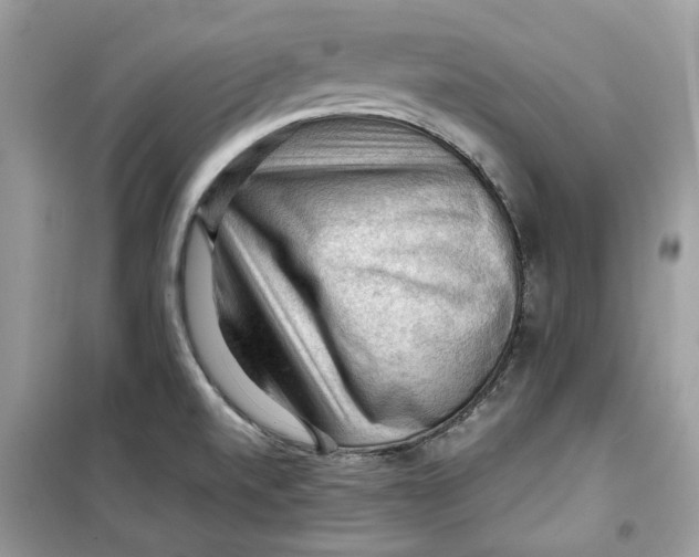 X0000099291520200805231309