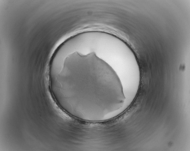 X0000099291522200805231309