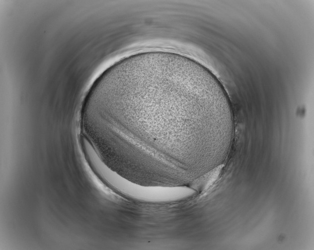 X0000099291523200805231309