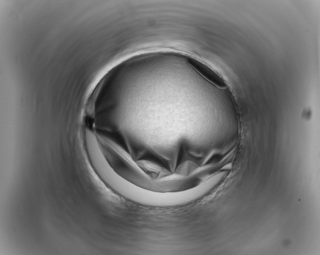 X0000099291524200805231309