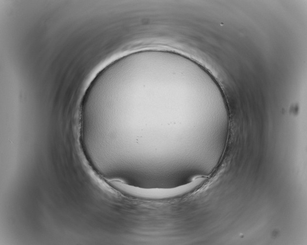 X0000099291526200805231309