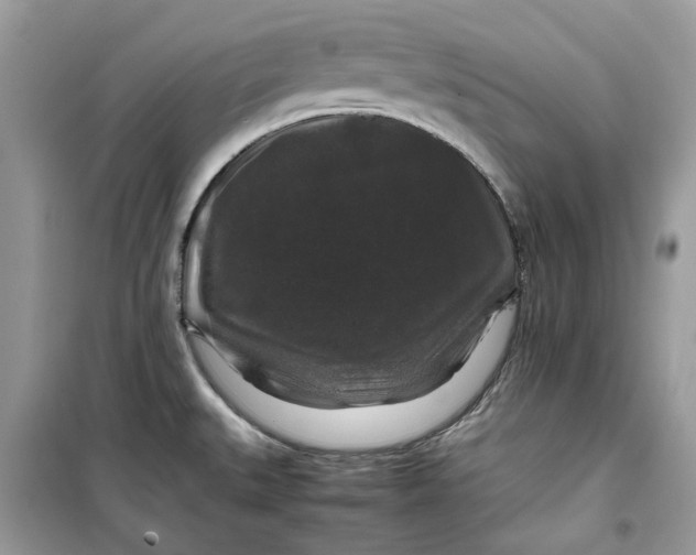 X0000099291527200805231309