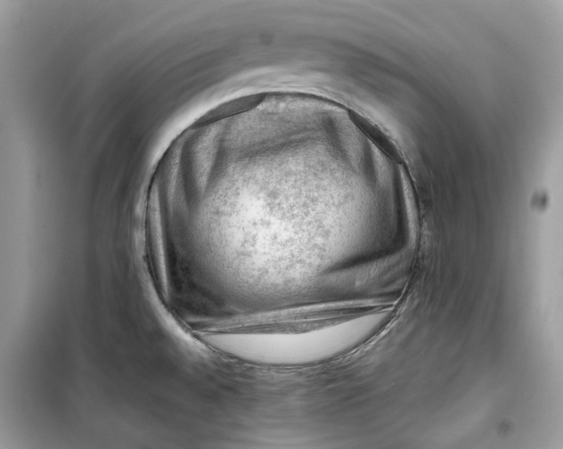 X0000099291528200805231309