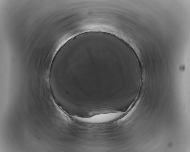 X0000099291529200805231309