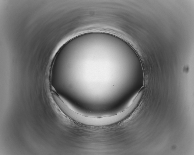 X0000099291530200805231309