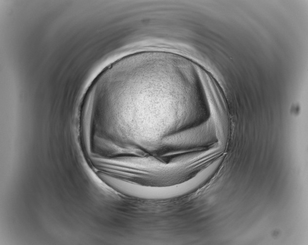 X0000099291531200805231309