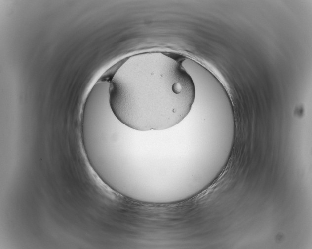 X0000099291532200805231309