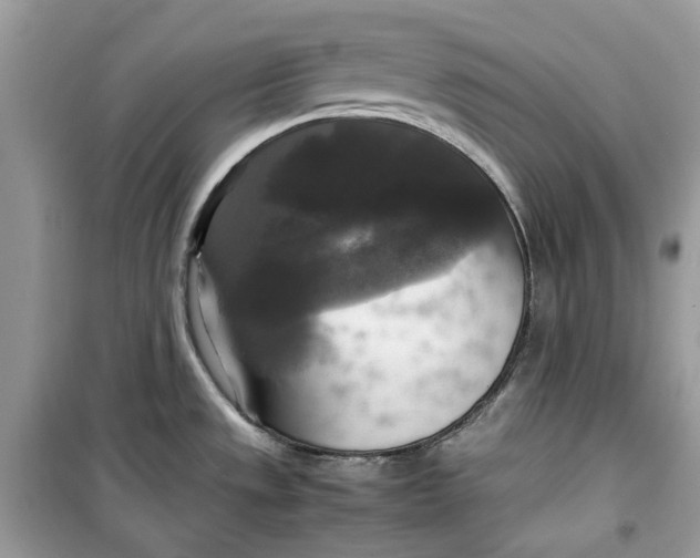 X0000099291533200805231309