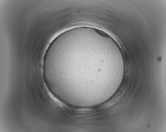 X0000099291535200805231309