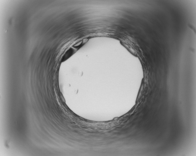 X0000099290001200805301122