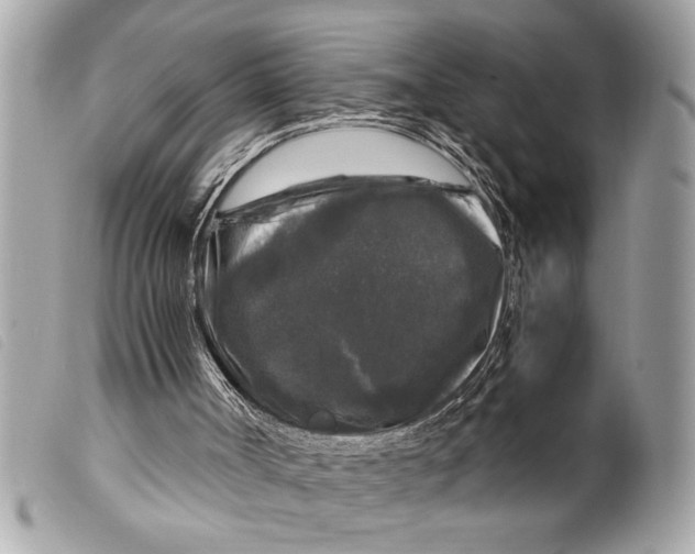 X0000099290002200805301122