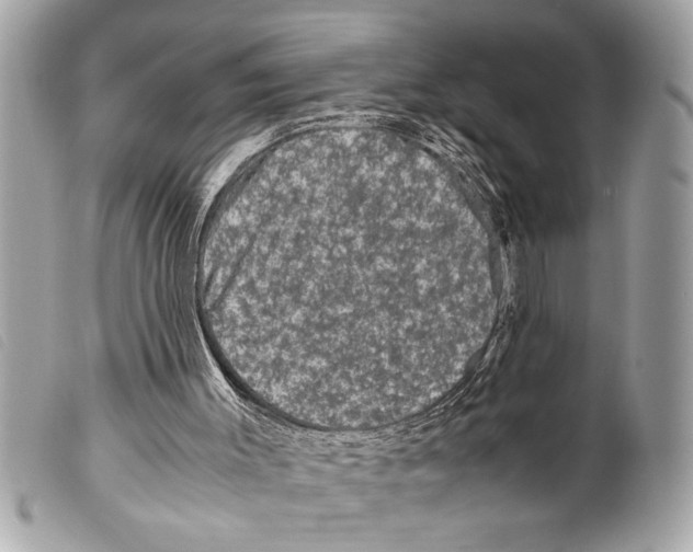 X0000099290003200805301122
