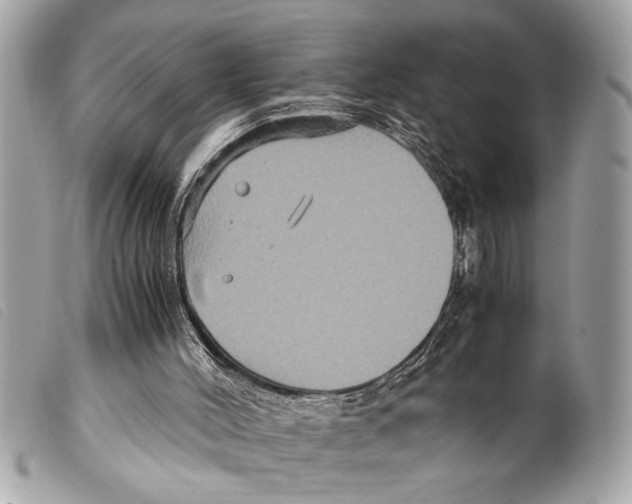 X0000099290004200805301122