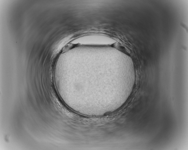 X0000099290005200805301122