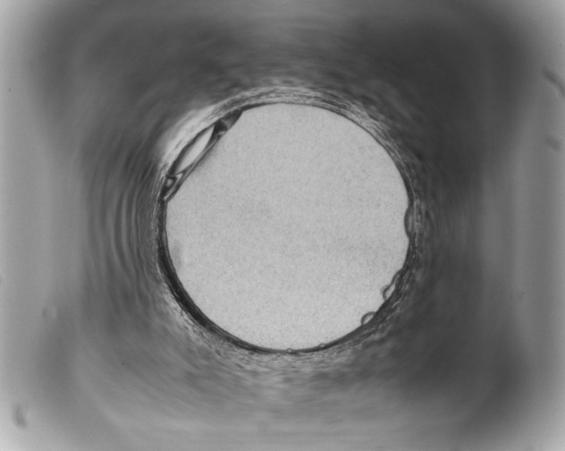 X0000099290007200805301122