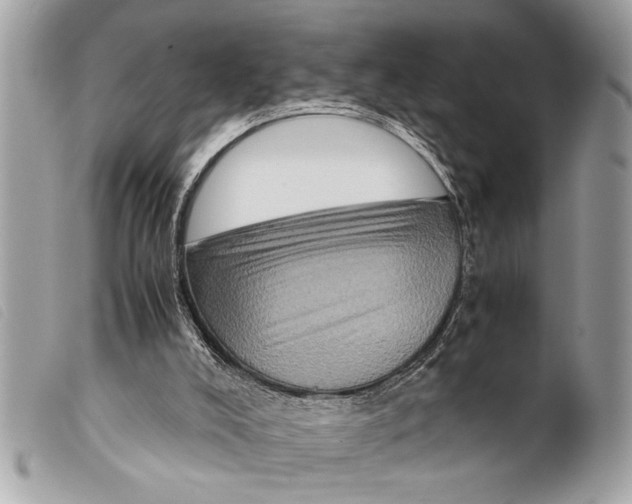X0000099290008200805301122
