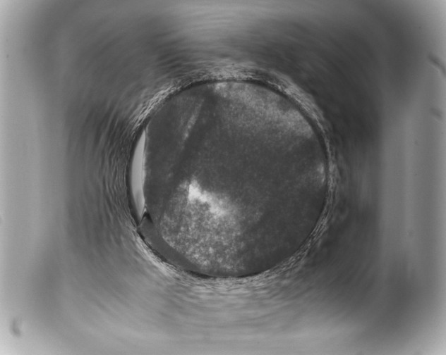 X0000099290009200805301122