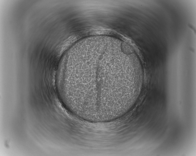 X0000099290010200805301122
