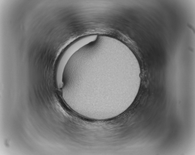 X0000099290012200805301122