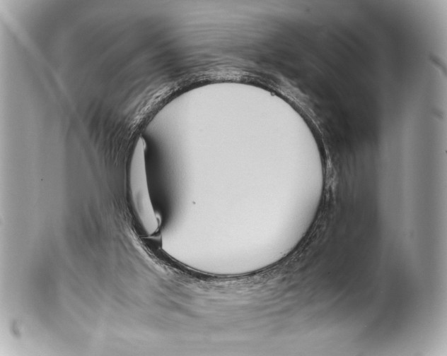 X0000099290013200805301122