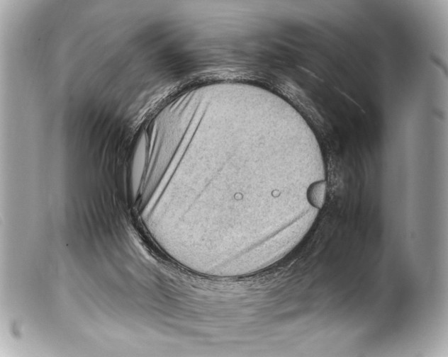 X0000099290014200805301122