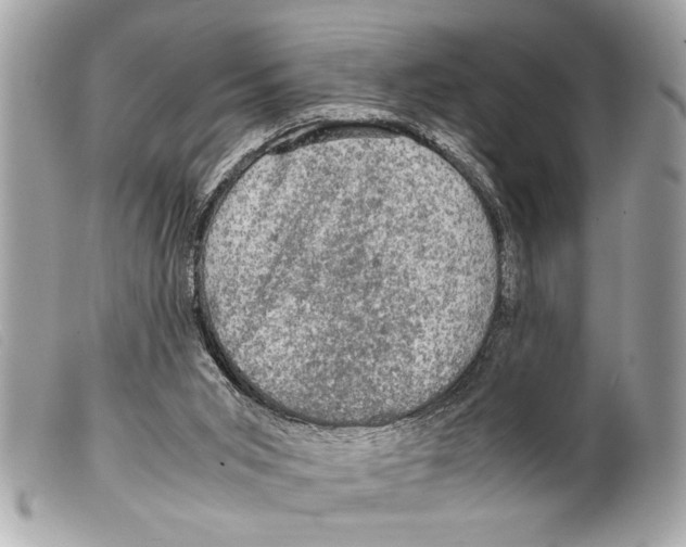 X0000099290015200805301122