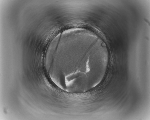 X0000099290018200805301122