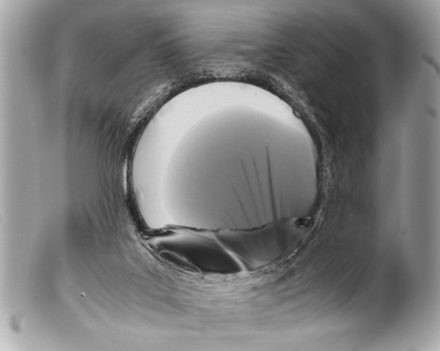 X0000099290019200805301121